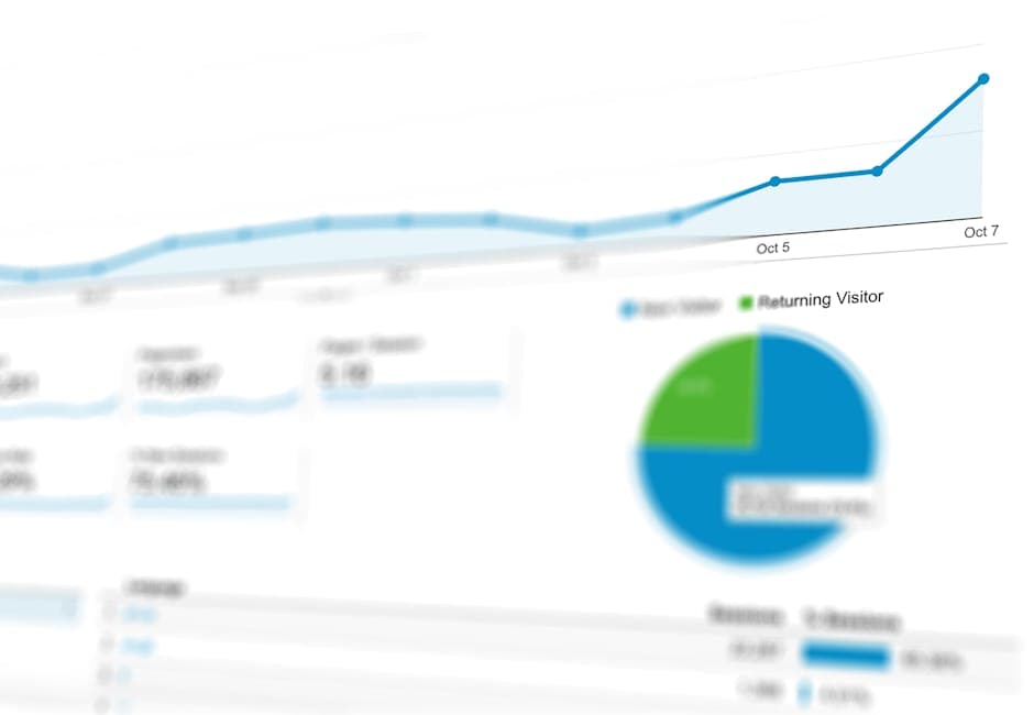 Business audit services showing company performance analysis and strategic business consulting