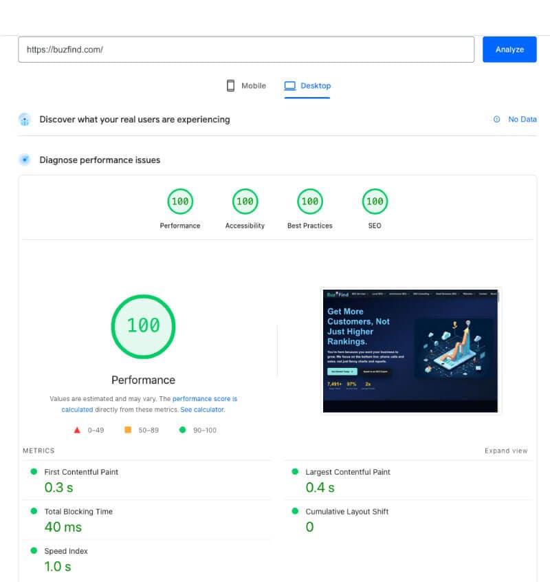 Google PageSpeed Insights report showing 100/100 performance for a BuzFind optimized website