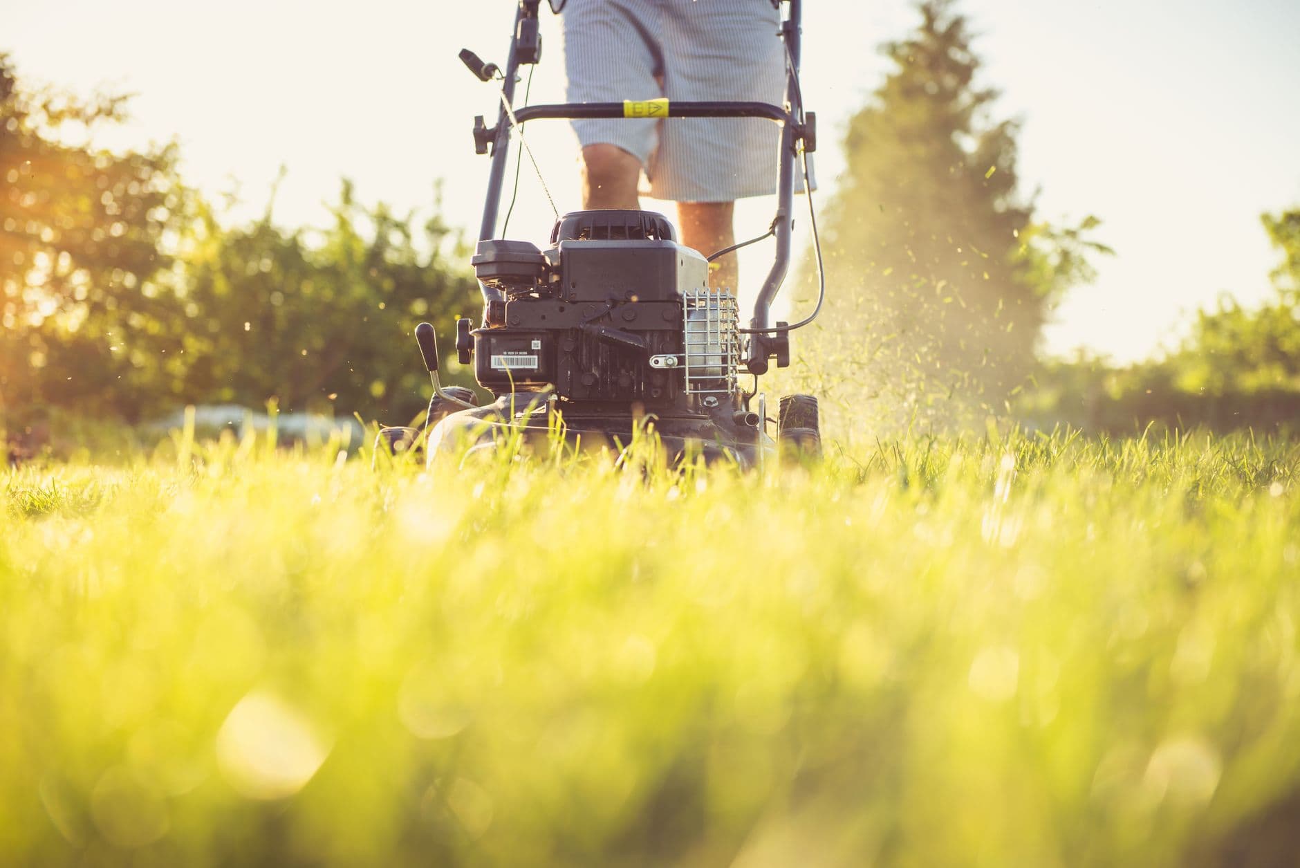 Landscaper mowing a lawn during peak season - the seasonal keyword BuzFind targets for landscaping companies