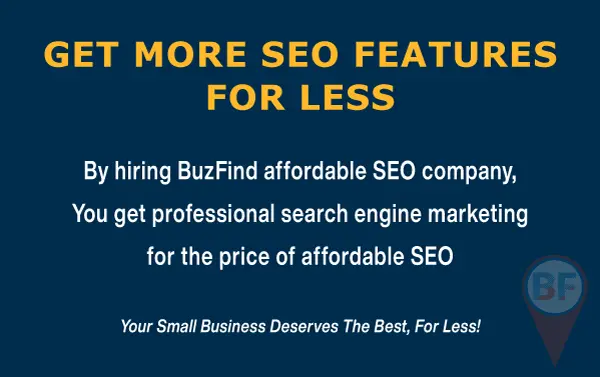Get professional SEO for less with BuzFind Affordable SEO Company