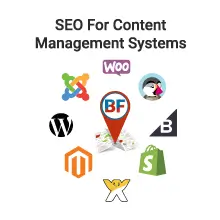 SEO CMS Services by BuzFind Search Engine Marketing Agency