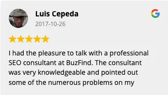 Luis Cepeda Google Review