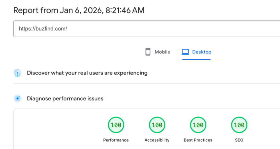 BuzFind Technical SEO Results: Google PageSpeed Insights Desktop showing perfect scores of 100/100/100/100 for Performance, Accessibility, Best Practices, and SEO