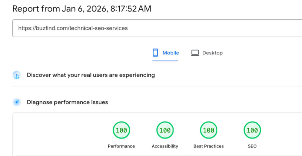 BuzFind Technical SEO Results: Google PageSpeed Insights Mobile showing perfect scores of 100/100/100/100 for Performance, Accessibility, Best Practices, and SEO