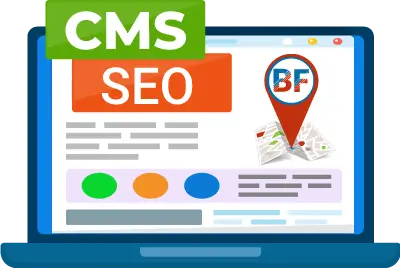 SEO Optimize Your CMS-based website