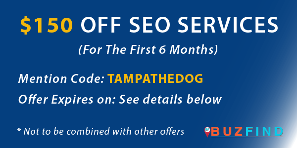 SEO services special offer take $150 Off SEO