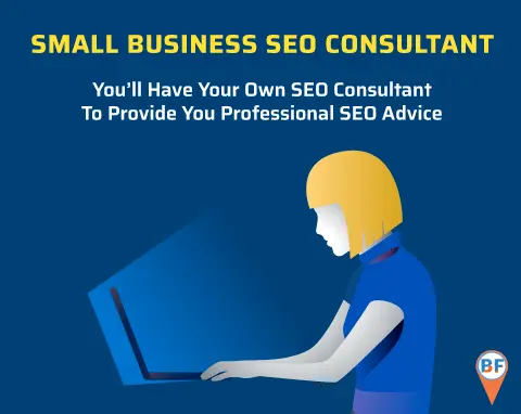 Small Business SEO Consultant