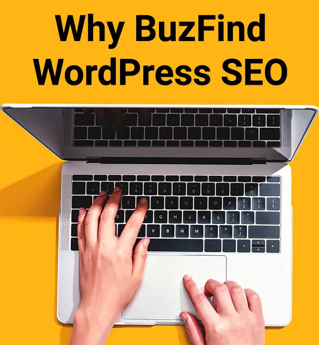 Why Choose BuzFind WordPress SEO services